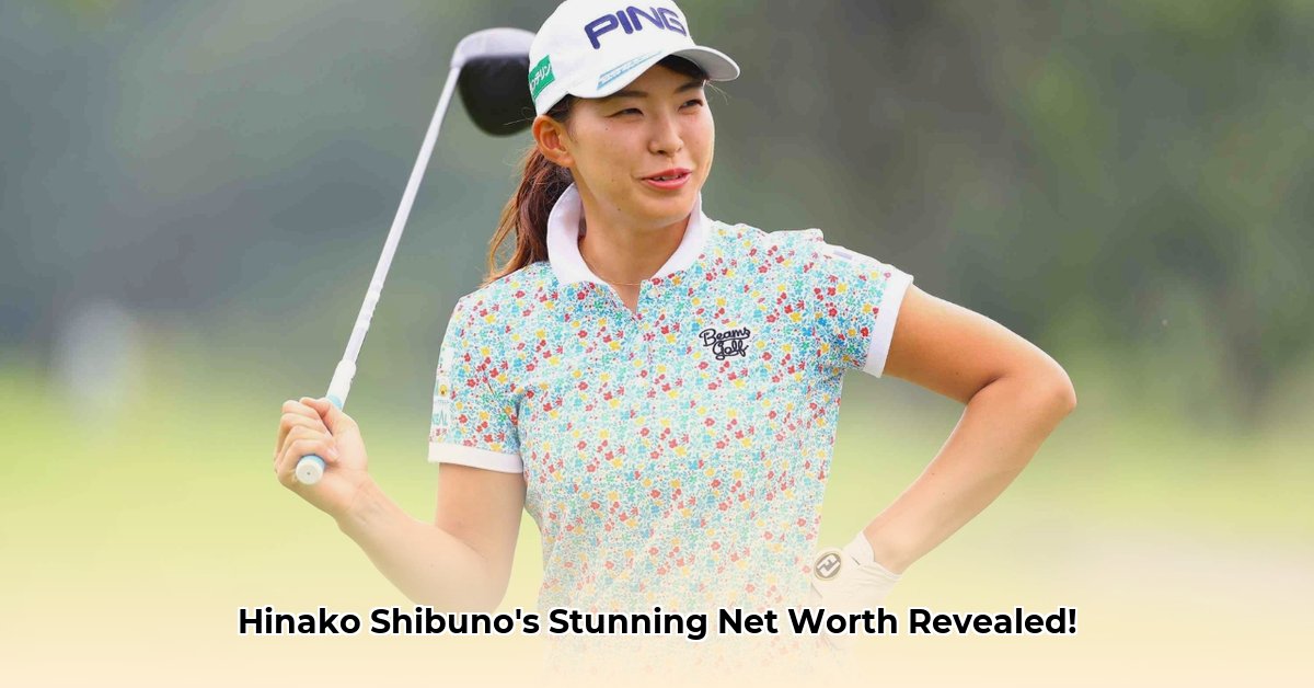 hinako-shibuno-net-worth